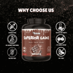 Superior Gainz - Image 4
